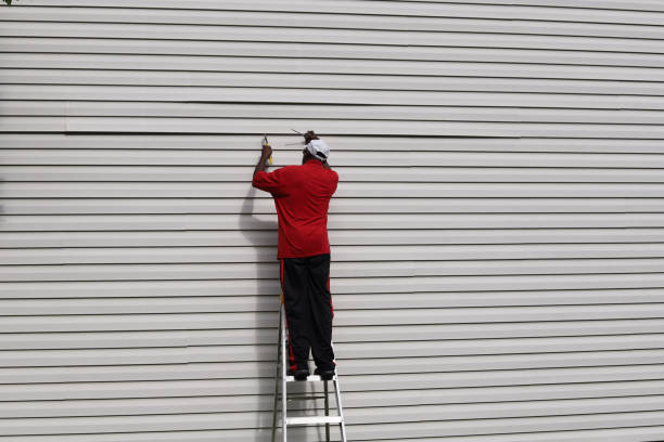 Best Insulated Siding Installation  in Toro Nyon, CA