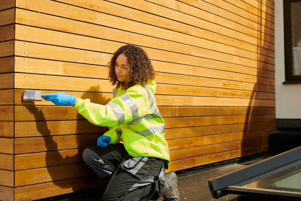 Best Custom Siding Design  in Toro Nyon, CA