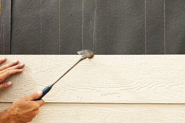 Best Historical Building Siding Restoration  in Toro Nyon, CA
