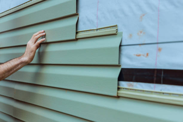 Best Vinyl Siding Installation  in Toro Nyon, CA