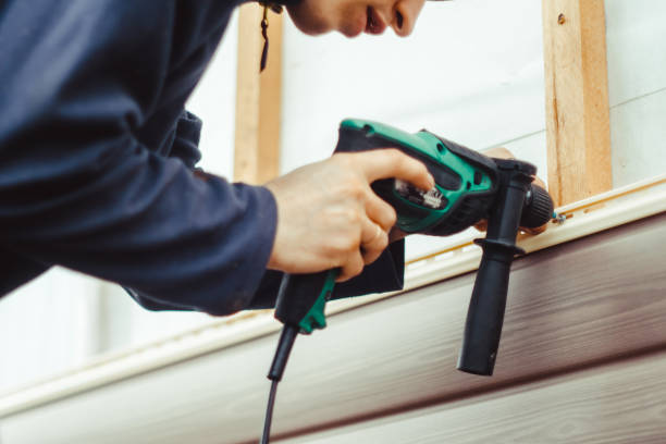 Best Custom Trim and Detailing for Siding  in Toro Nyon, CA